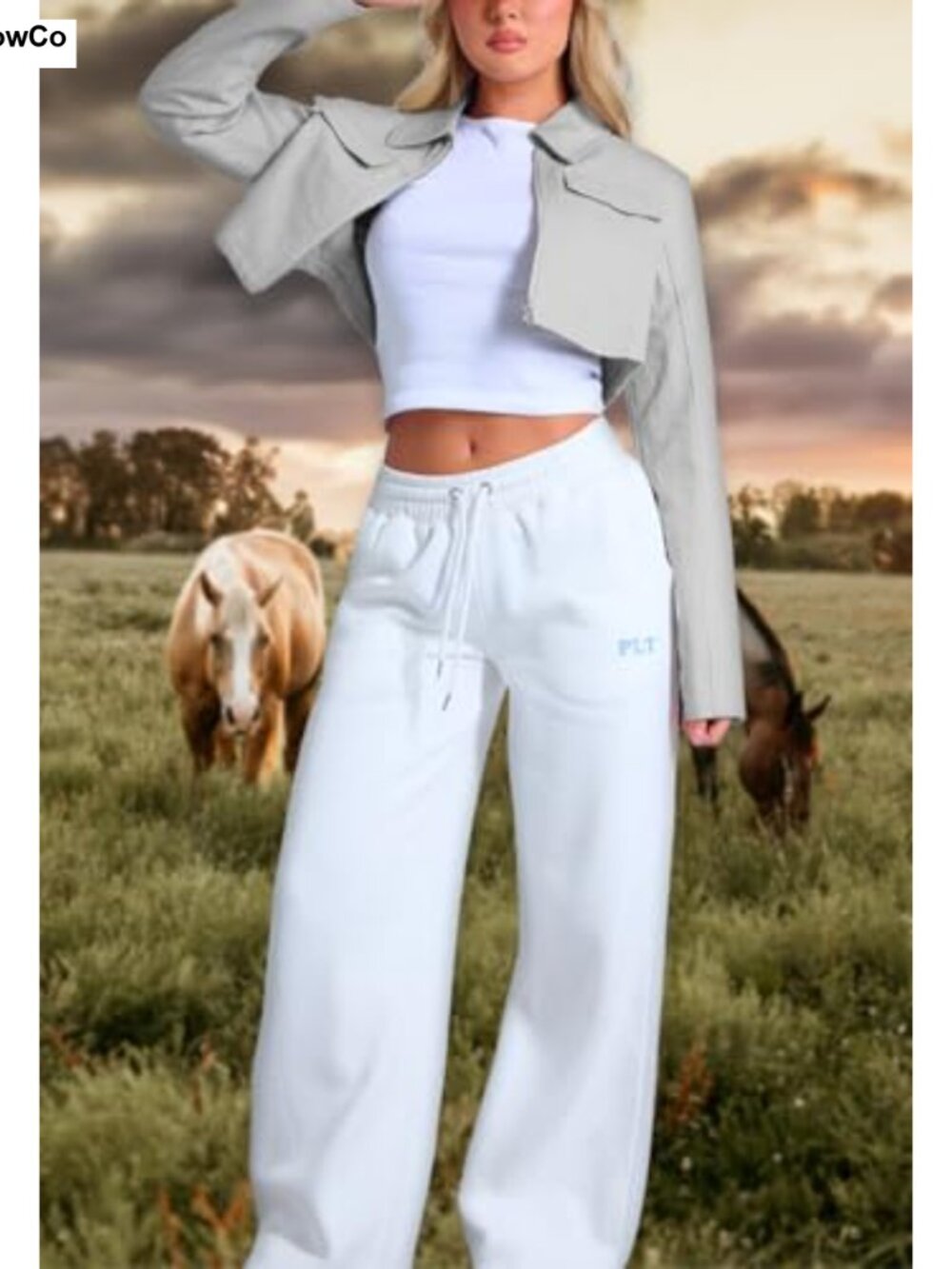 Cropped Zip Up Casual Jacket with Lapel Collar and Chest Pockets - Picture 5 of 6